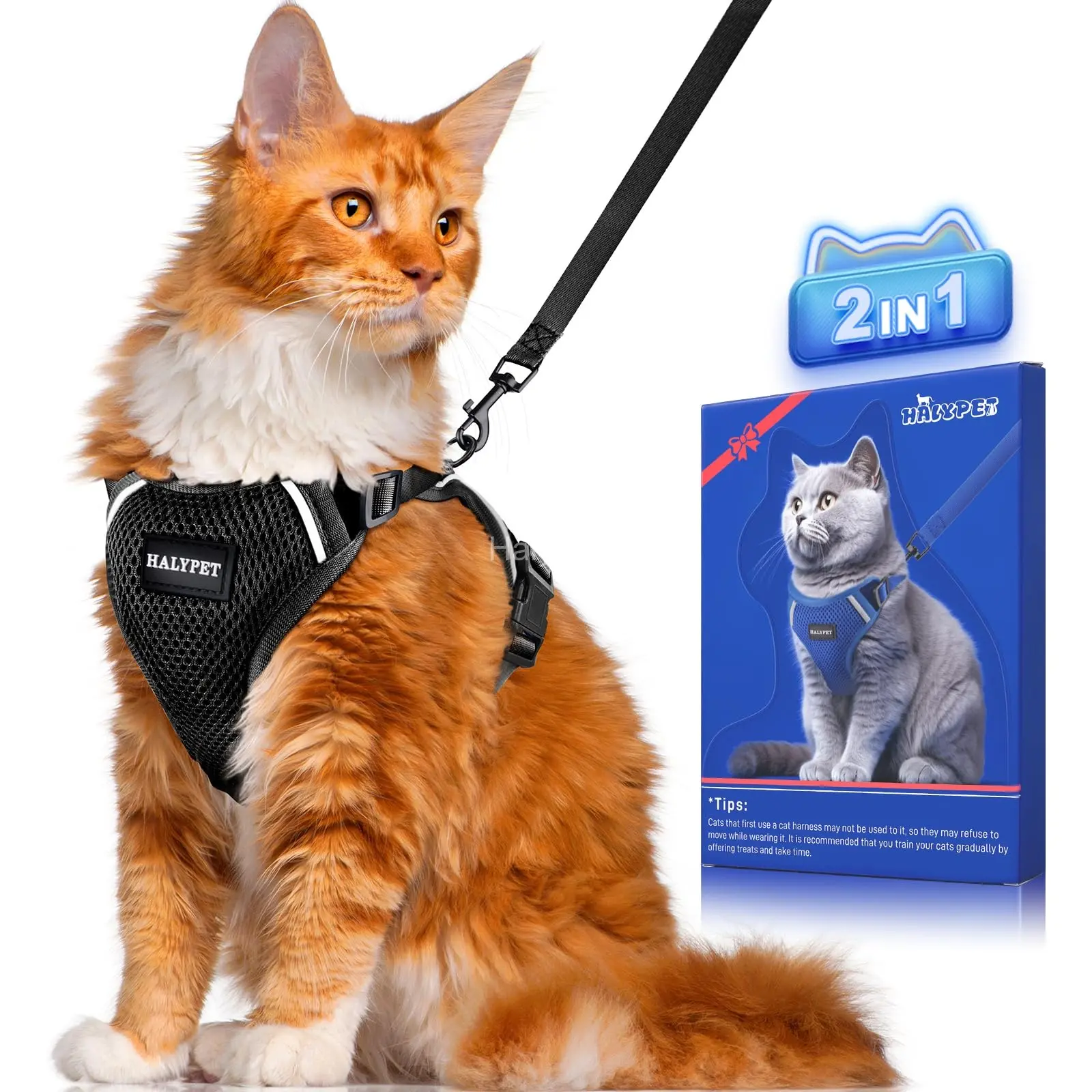Ensemble harnais et laisse pour chat Halypet H200 Pro avec bande réfléchissante