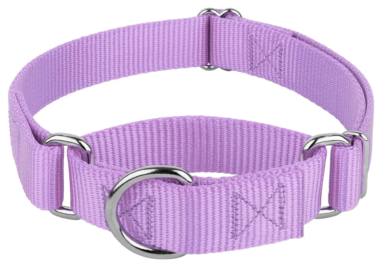 Country Brook Petz Martingale Dog Collar No-Buckle Heavy-Duty Nylon in vibrant color