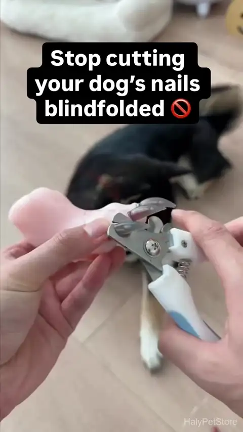 Boshel Large Dog Nail Clippers with Safety Guard