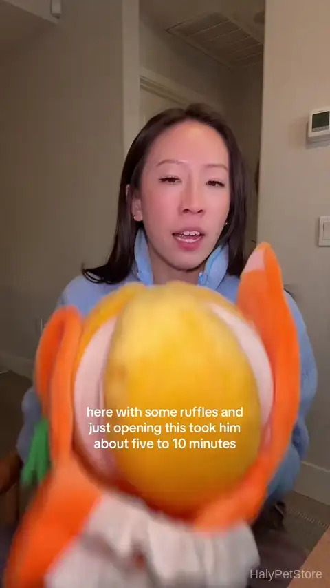Dog working on treat puzzle toy for mental stimulation