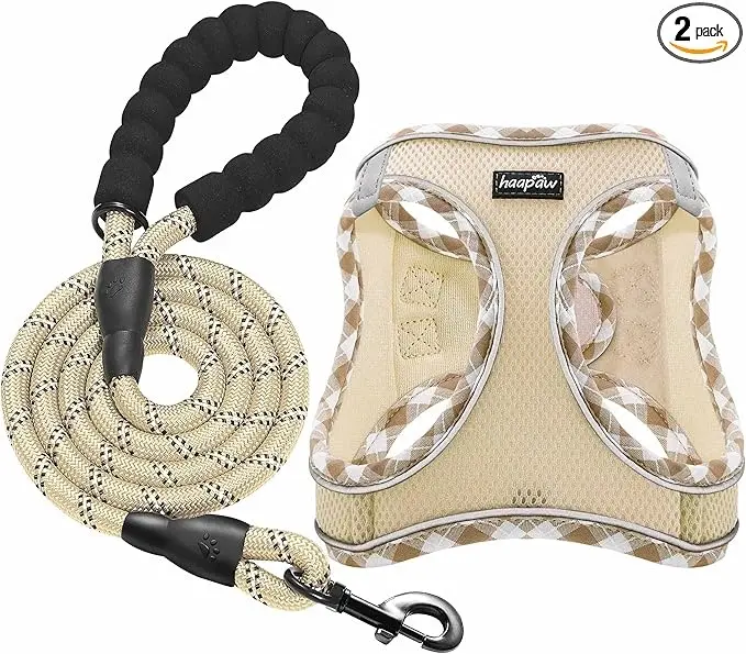 haapaw Puppy Harness and Leash Set