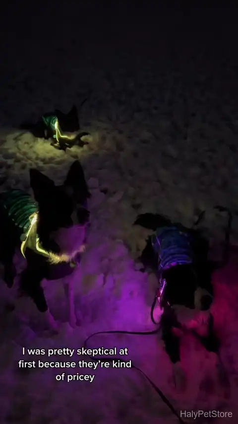 Noxgear LightHound LED illuminated dog harness with fiber optic cables glowing in multiple colors