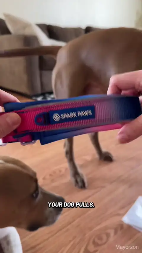Mayerzon No Pull Martingale Dog Collar with Buckle