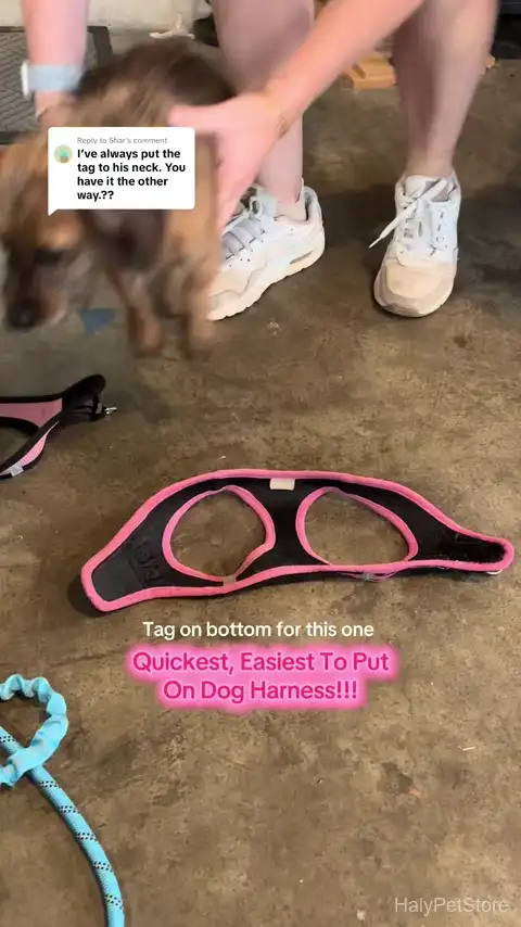 IVY&LANE No Pull Dog Harness for Small Dogs, Dog Vest Harness with Leash, Safety Belt and Storage Strap, Fully Adjustabl