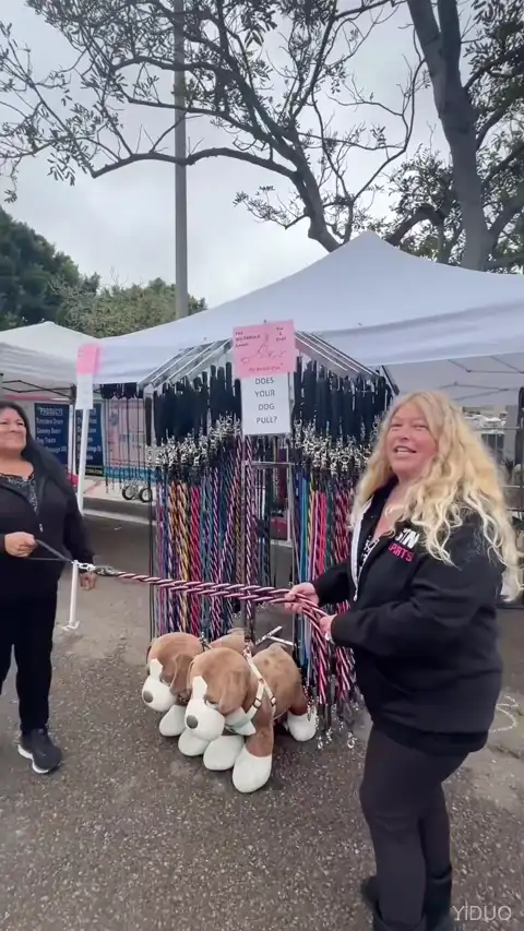 No tangle double dog leash demonstration &mdash; swivel in action