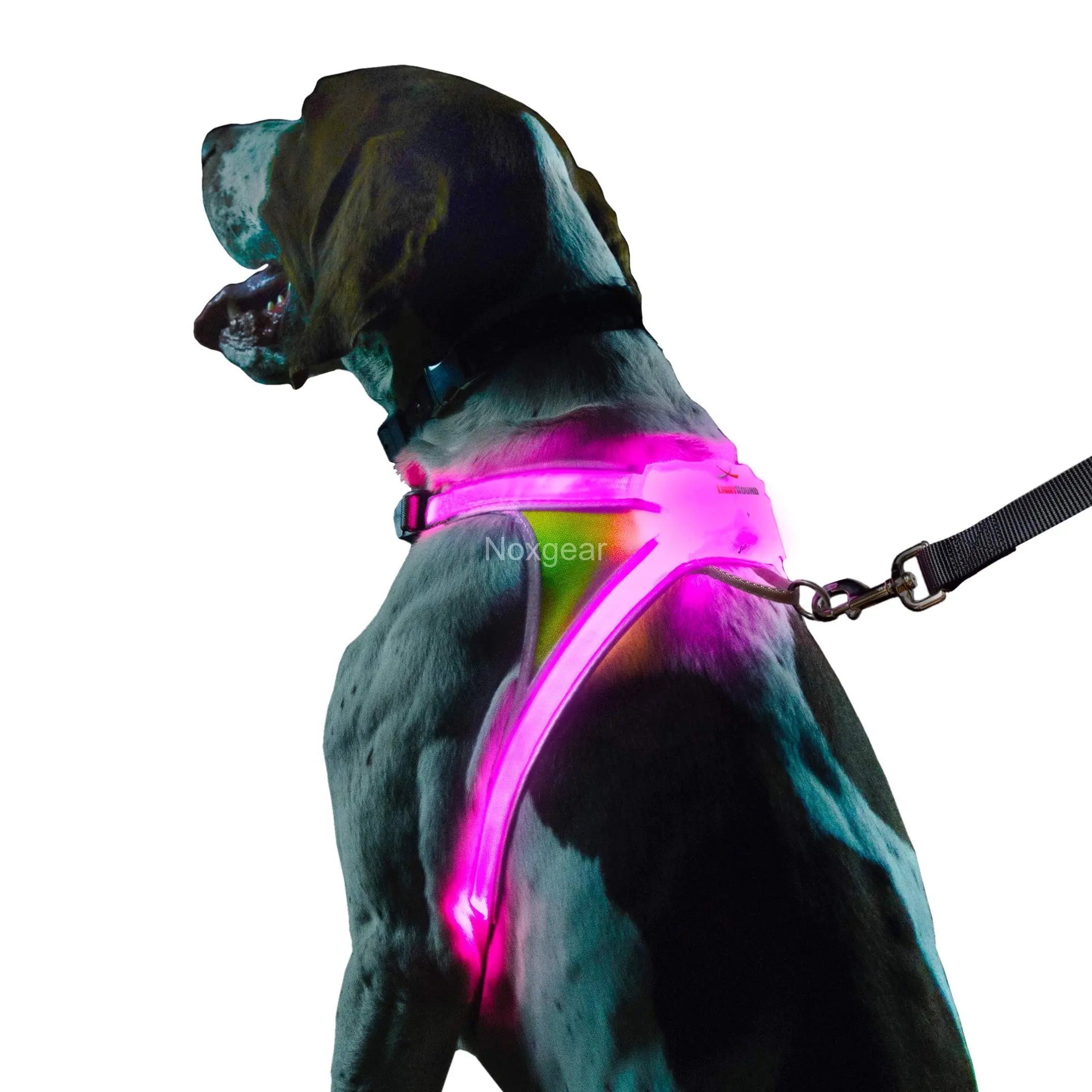 Noxgear LightHound LED illuminated dog harness with fiber optic cables