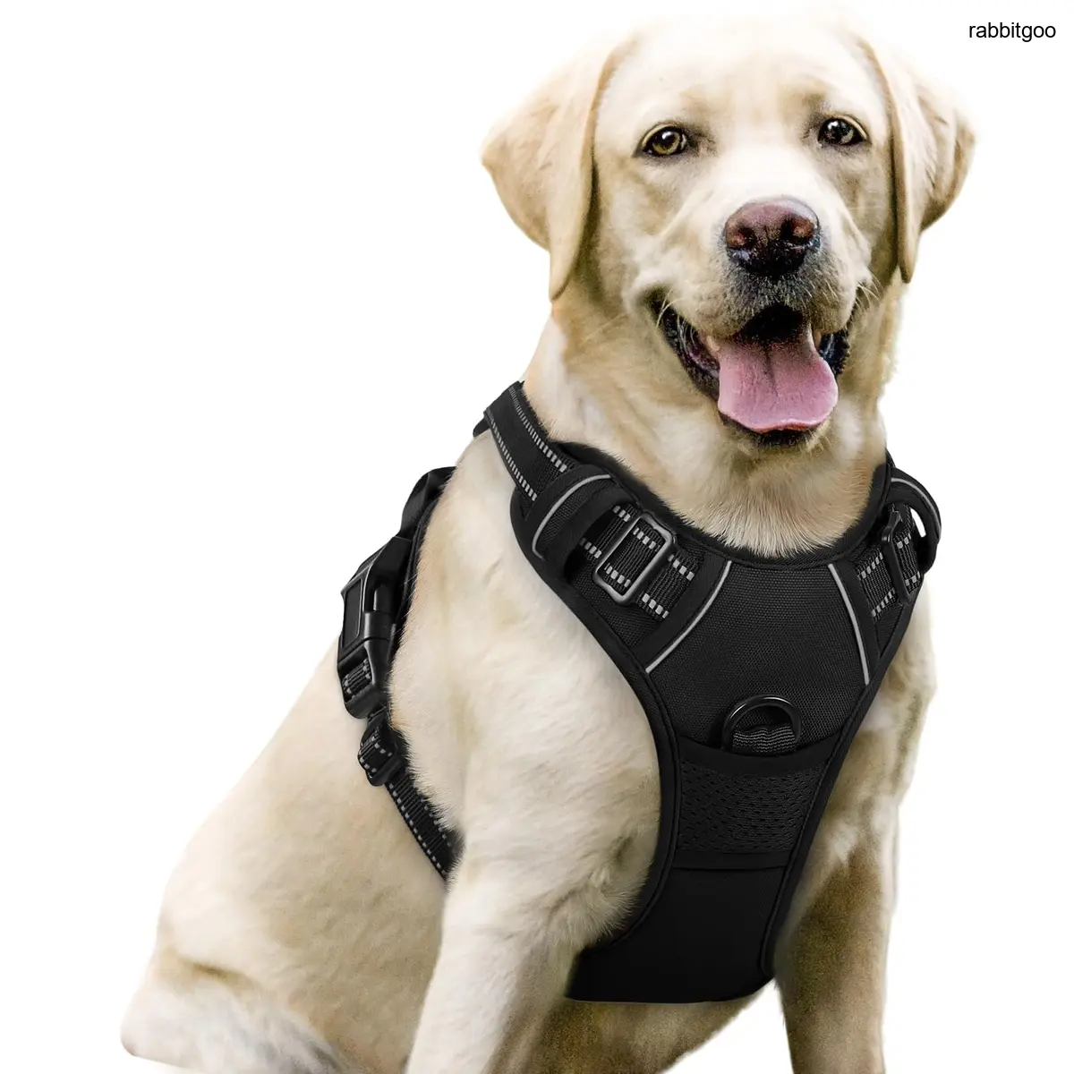 rabbitgoo Dog Harness No Pull with 2 Leash Clips, Adjustable Soft Padded, Reflective Oxford No Choke Pet Vest with Easy 