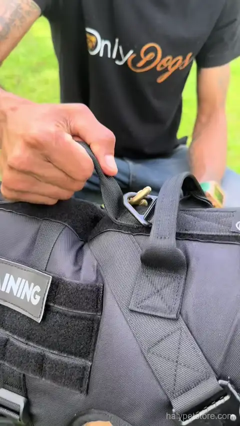 Beebiepet tactical dog harness with solid grab handle